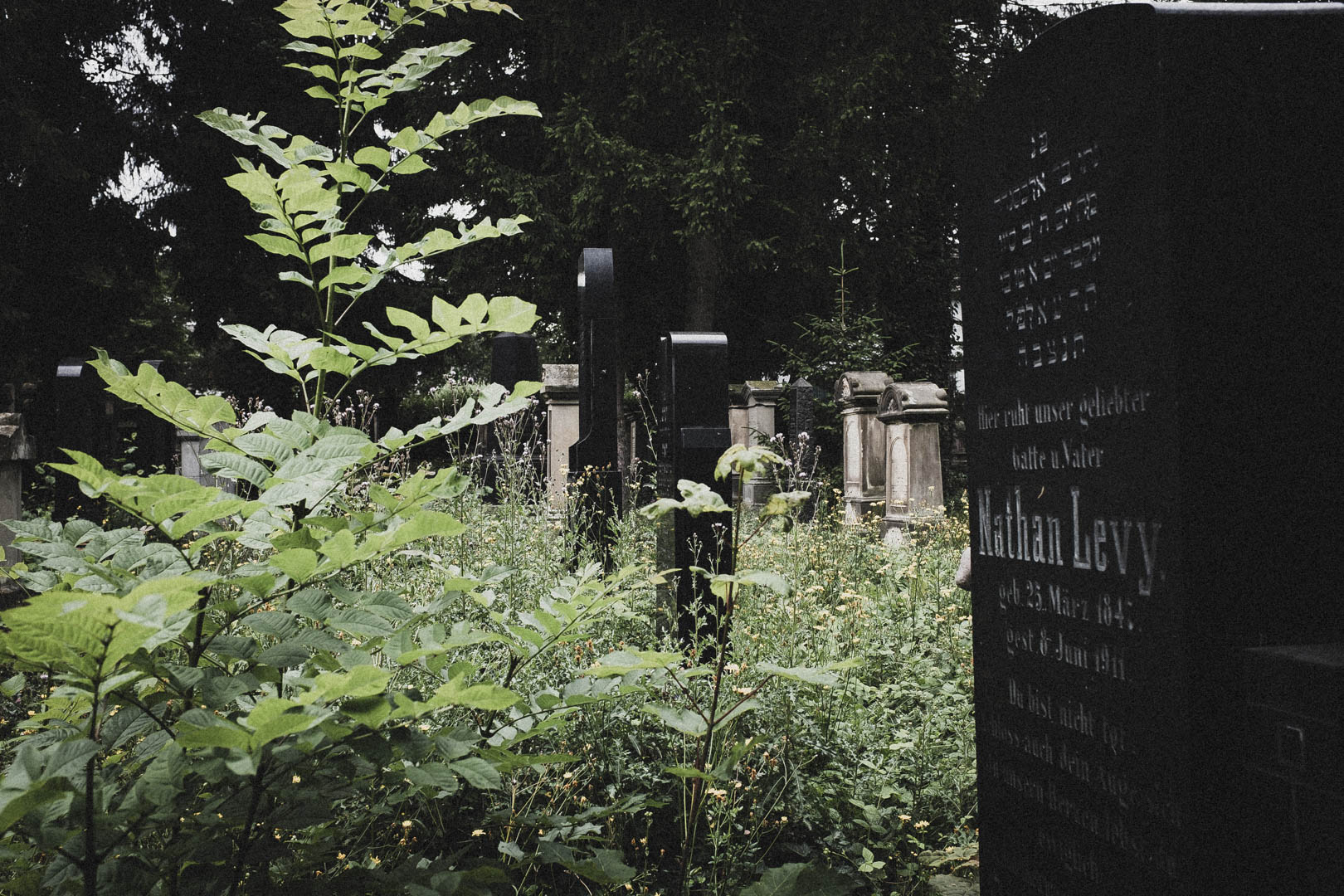 Eschwege, Jüdischer Friedhof